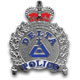 deltapolice